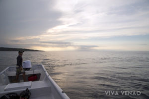 Whale Watching Playa Venao Pedasi